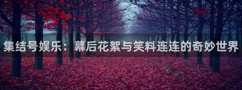 南宫大舞台官网入口