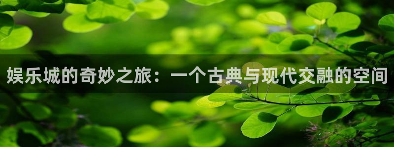 南宫大舞台官网入口