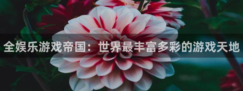南宫大舞台