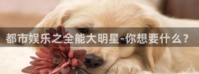 南宫大舞台