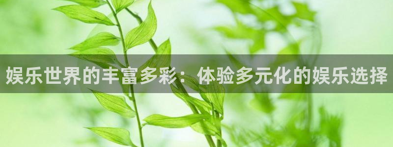 南宫大舞台官网入口
